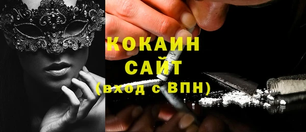 мдпв Нестеровская