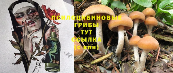 мдпв Нестеровская