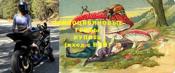 мдпв Нестеровская
