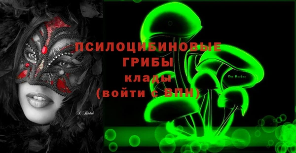 мдпв Нестеровская