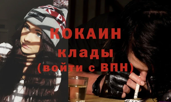 мдпв Нестеровская