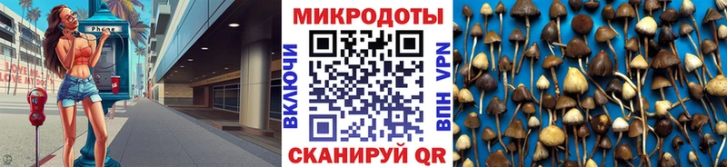 Галлюциногенные грибы MAGIC MUSHROOMS  Купить  Протвино 